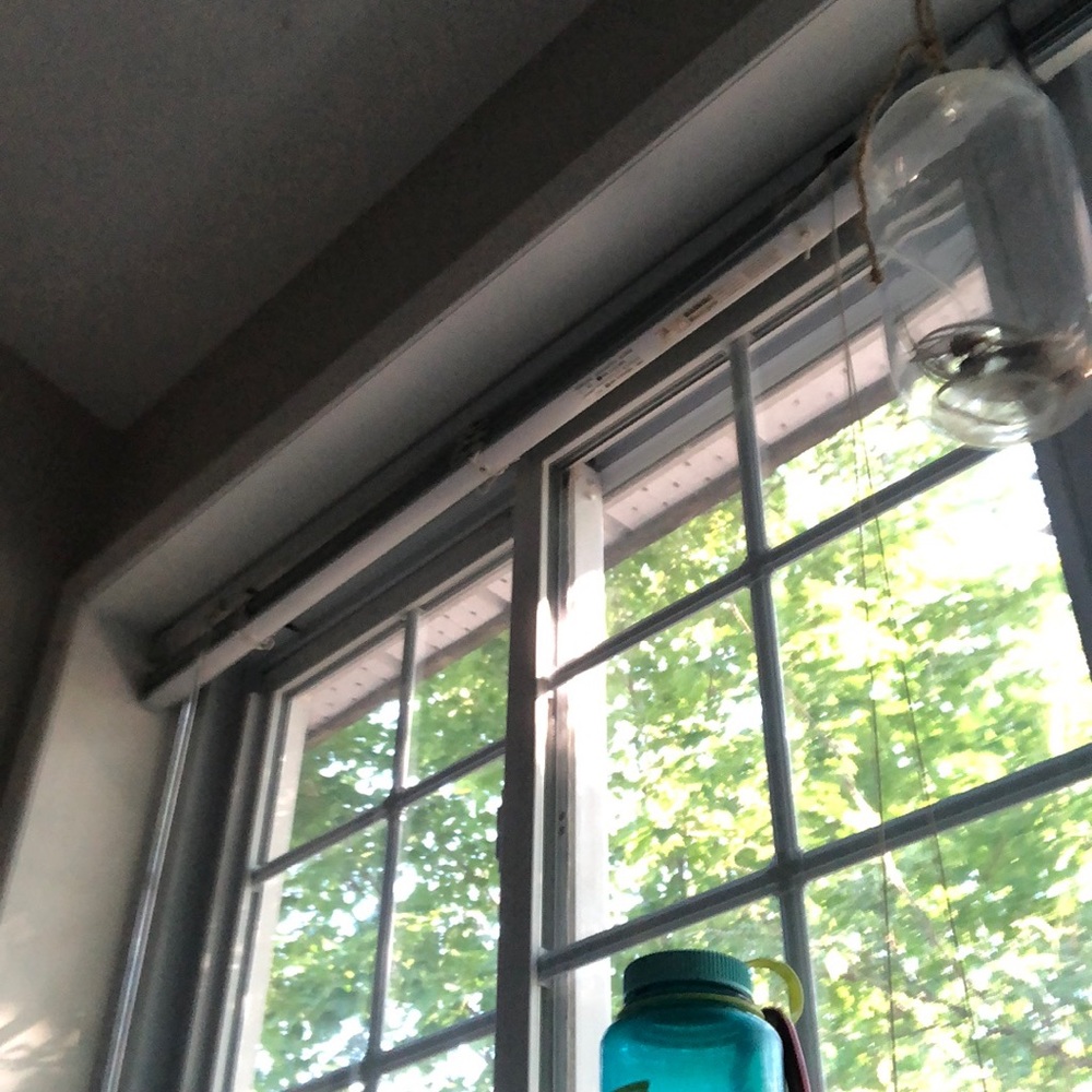 Meet your Posher, Bella